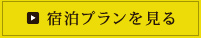 宿泊プランを見る
