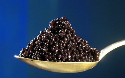 sturgeon_caviar.jpg