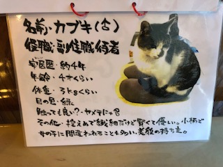 猫のお寺長光寺  オーベルジュ・ライフ  arcana izu (アルカナイズ)